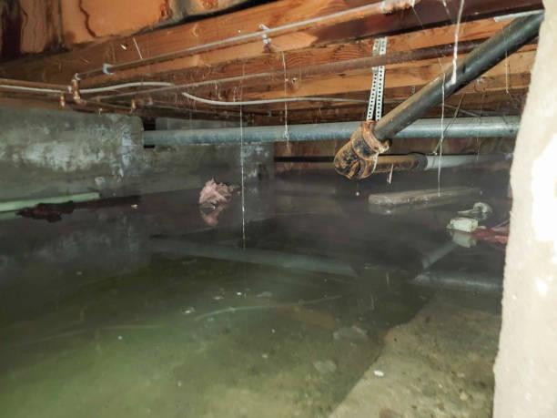 Best Water damage restoration cost  in Devon, PA