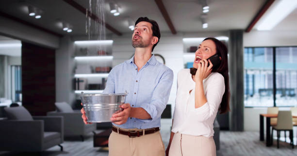Best Mold removal after water damage  in Devon, PA